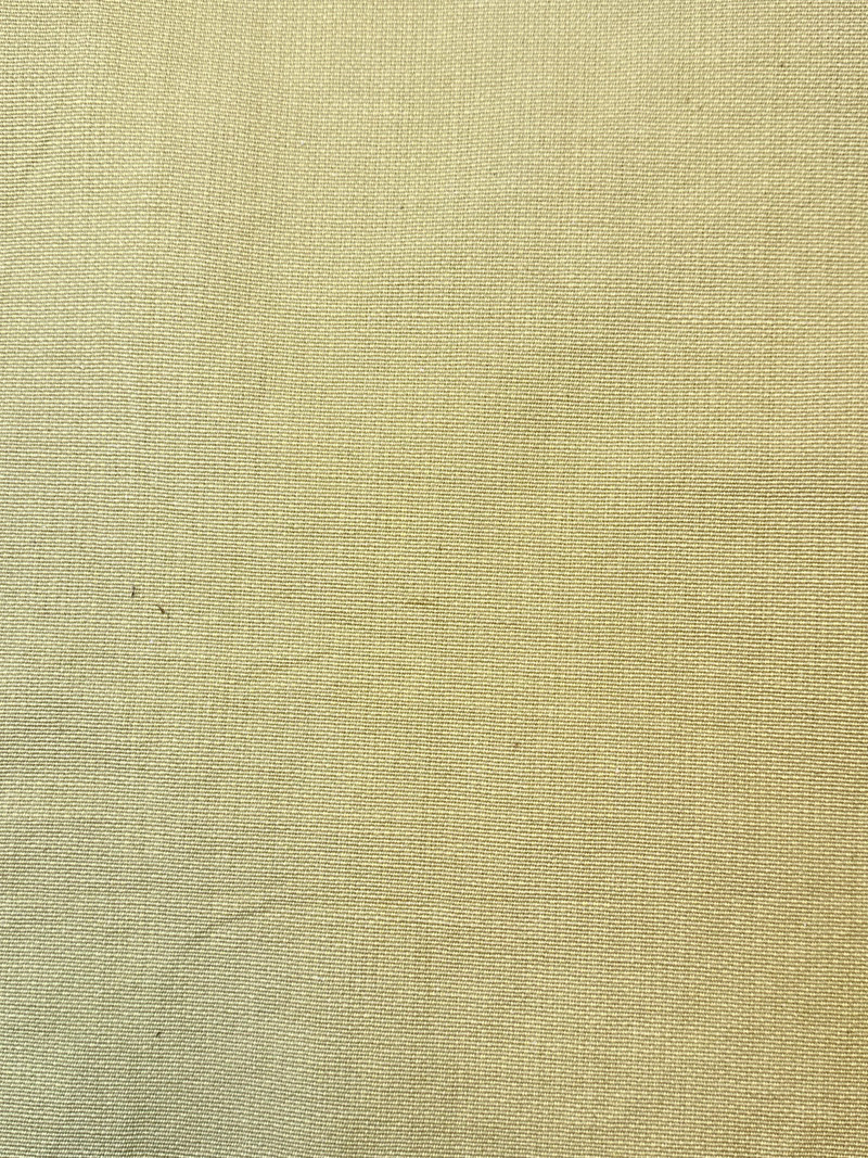 Patagonia Buttercup Upholstery Fabric