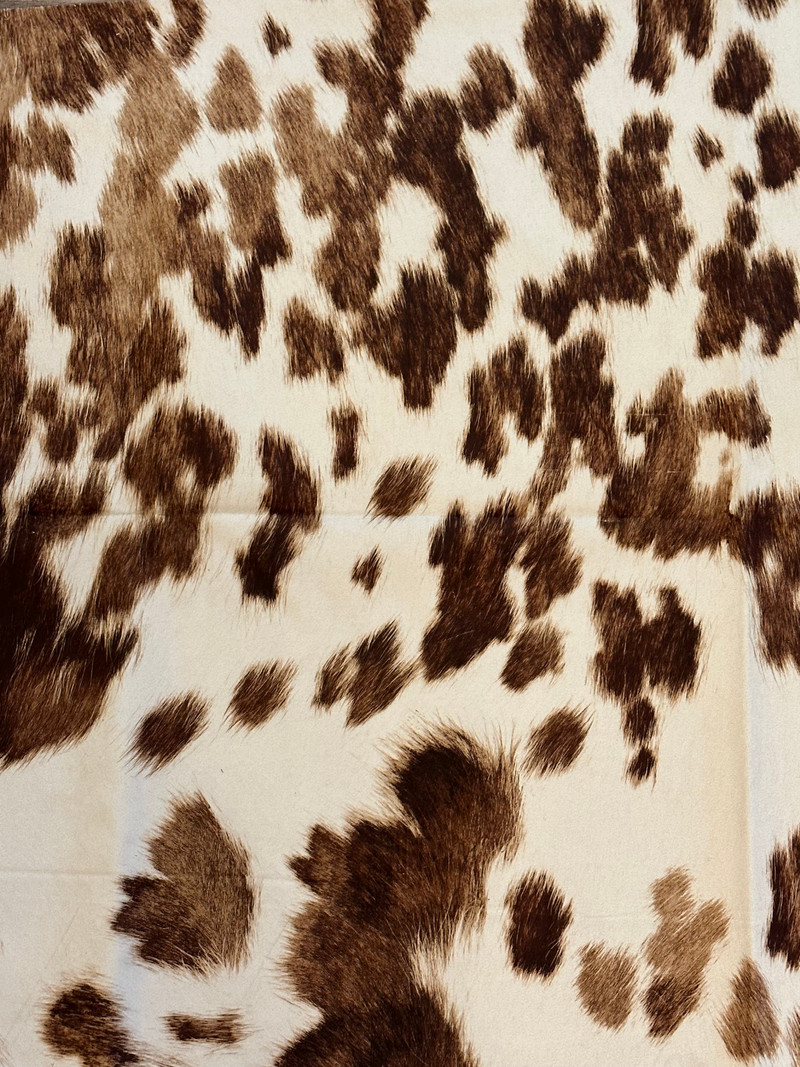 Asmar 03 Upholstery Fabric by Rioma