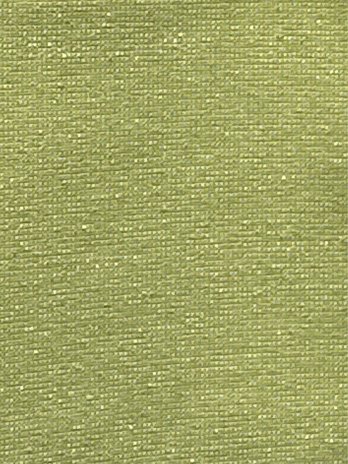 Delaney Cactus Indoor/Outdoor Fabric by Outdura/Sattler