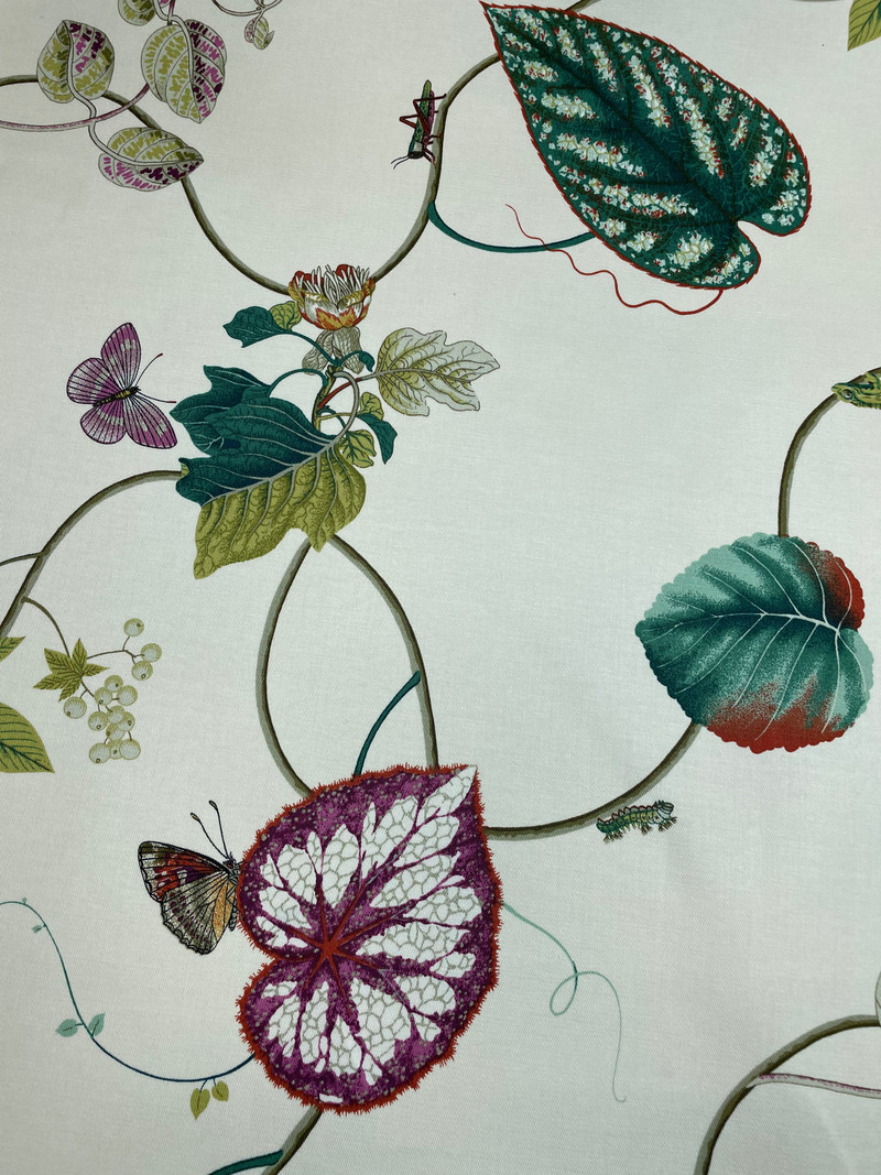 Creeping Vine Pearl Drapery Fabric by P-Kaufman