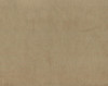 Legend CL Raffia Velvet Drapery Upholstery Fabric by P Kaufmann