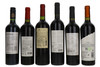 Magic Malbec Six Bottle Wine Selection, Argentina (6 x 75cl)