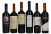 Magic Malbec Six Bottle Wine Selection, Argentina (6 x 75cl)