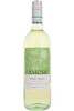 Amori Pinot Grigio, Delle Venezie, Italy, 2025