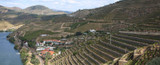 2015 Vintage Port Declaration 2015 Vintage Port Declaration