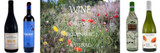 Healthy wine? - 3 questions - 3 answers you need to know! Healthy wine? - 3 questions - 3 answers you need to know!