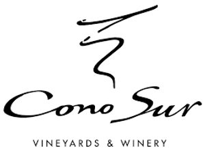 Cono Sur
