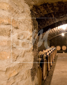 Domaine Yves Boyer Martenot