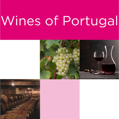 Frazier Jones Tasting Event #2 Wines of Portugal Friday 6th March 2026