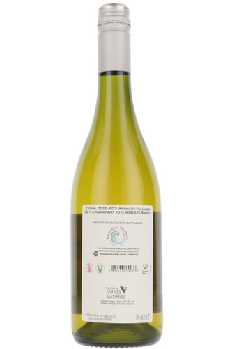 Estival, Bodega Pablo Fallabrino, Canelones, Uruguay, 2022