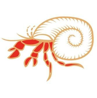 Red Leg Hermit Crab.
Red Leg incorporates the motif of the RedLeg Hermit Crab native to the Caribbean and named for its bright legs. It captures the spirit of Caribbean culture being laid back with an “Irie” attitude, without a pirate in sight. Which makes it the perfect drink to be enjoyed with friends.