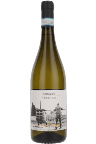 Contesa Pecorino, Abruzzo DOC, Italy, 2024