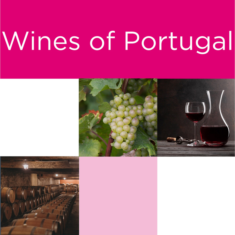 Frazier Jones Tasting Event #2 Wines of Portugal Friday 6th March 2026