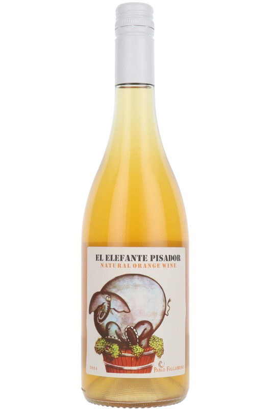 El Elefante Pisador Orange Natural, Pablo Fallabrino, Atlantida, Canelones, Uruguay, 2024