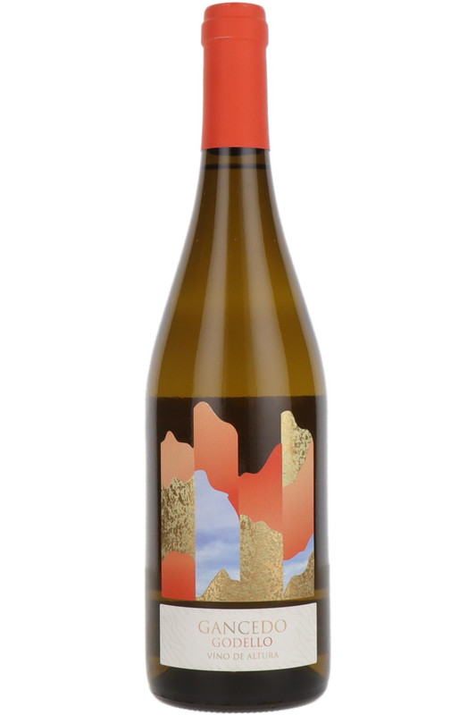 Gancedo Godello, El Bierzo, Leon, Spain, 2024