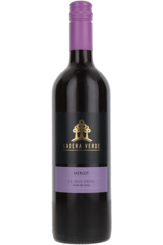 Ladera Verde Merlot, Valle Central, Chile, 2025