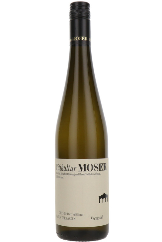 Vitikultur Moser Gruner Veltliner von der Terrassen, Kremstal, Austria, 2023