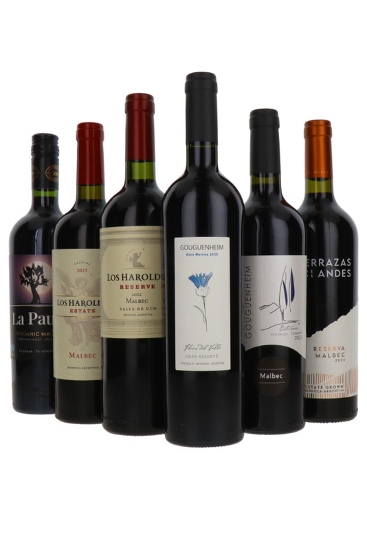 Magic Malbec Six Bottle Wine Selection, Argentina (6 x 75cl)