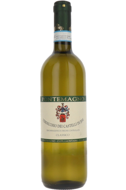 Verdicchio Dei Castelli Di Jesi Classico, Pontemagno, Cupramontana, Marche, Italy, 2025