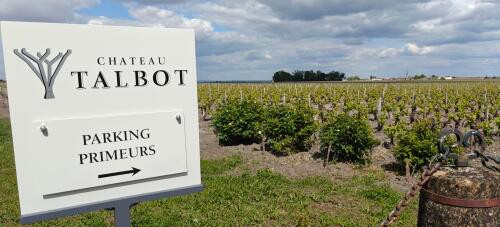 Bordeaux 2023 En Primeur Report