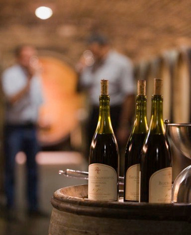 Fresh, aromatic whites - Ripe, succulent reds - Burgundy 2017 En Primeur Offer