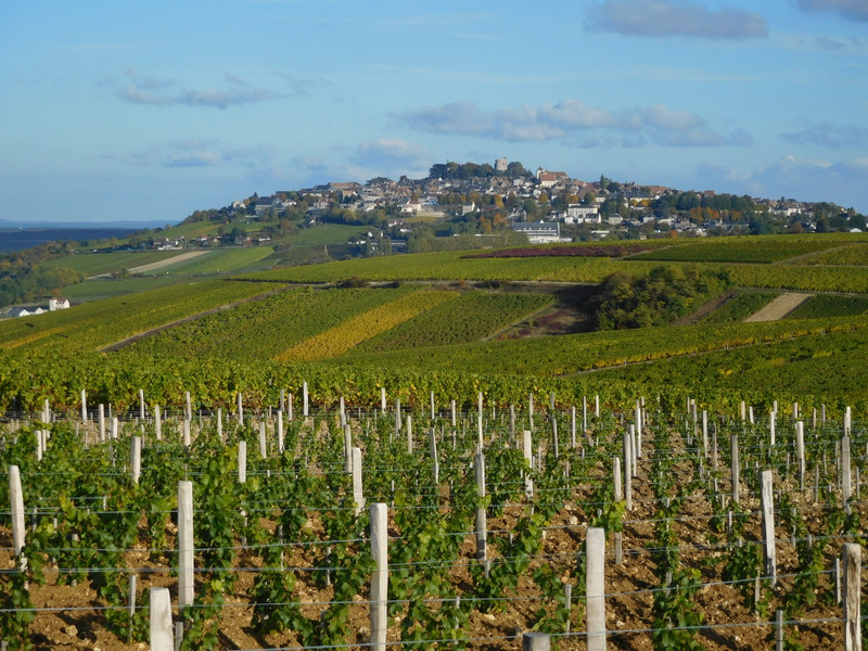 Sancerre: By Vacheron