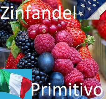 The Great (Grape) Pretender