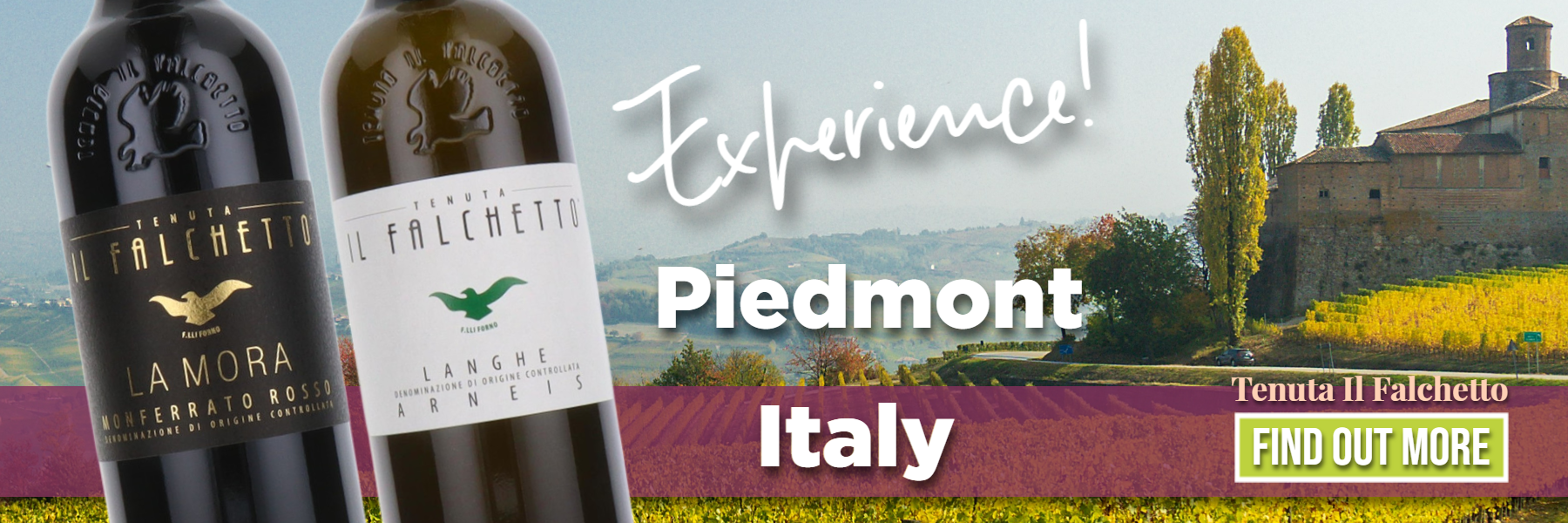 Buy Tenuta Il Falchetto Piedmont  wines from Frazier Jones