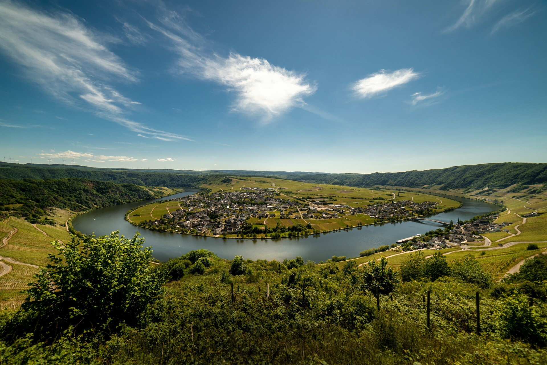 The Mosel River Mosel River