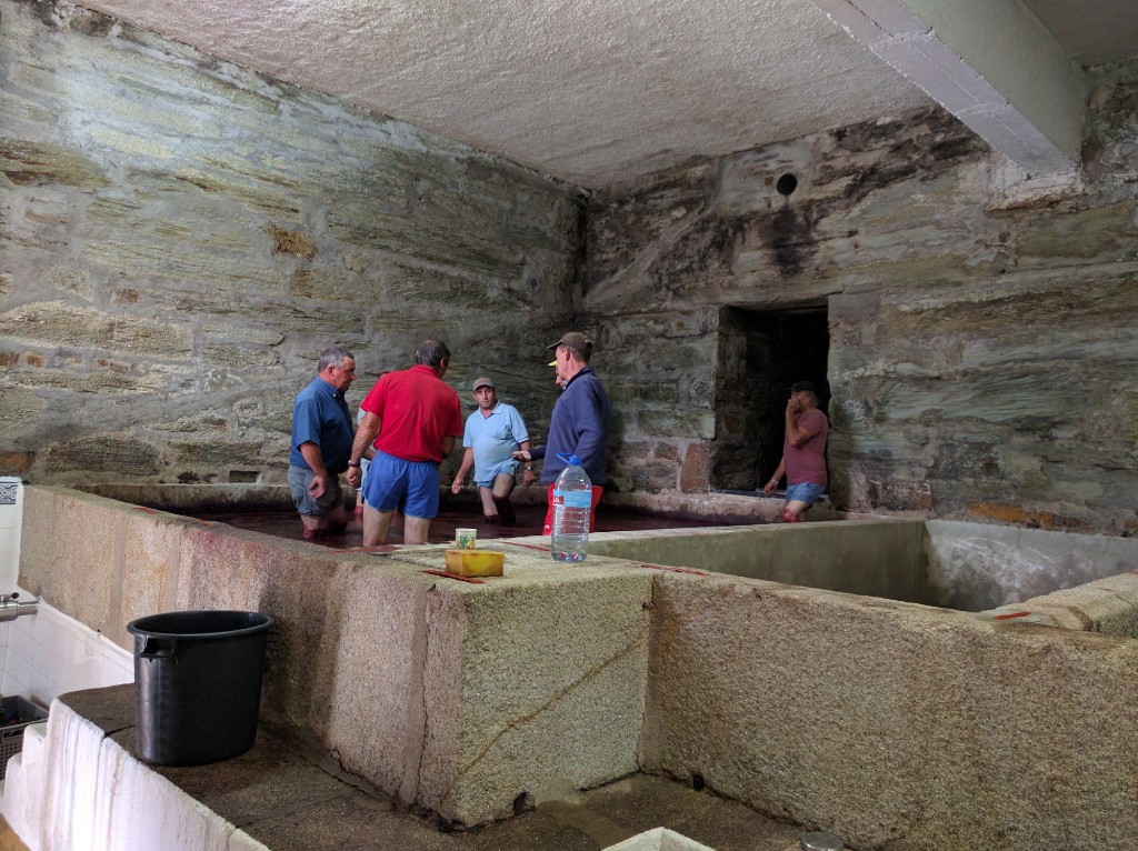 2016 Port Declaration - A Classic Vintage