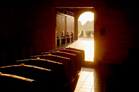 Black Grape Friday at Frazier's 