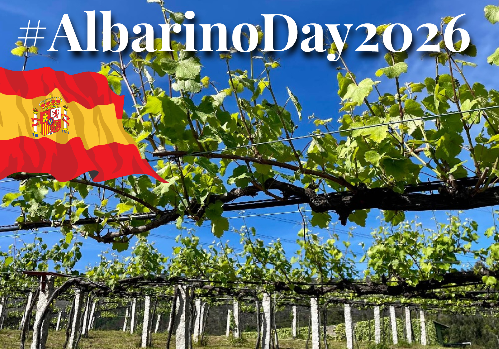 #AlbarinoDay2026
