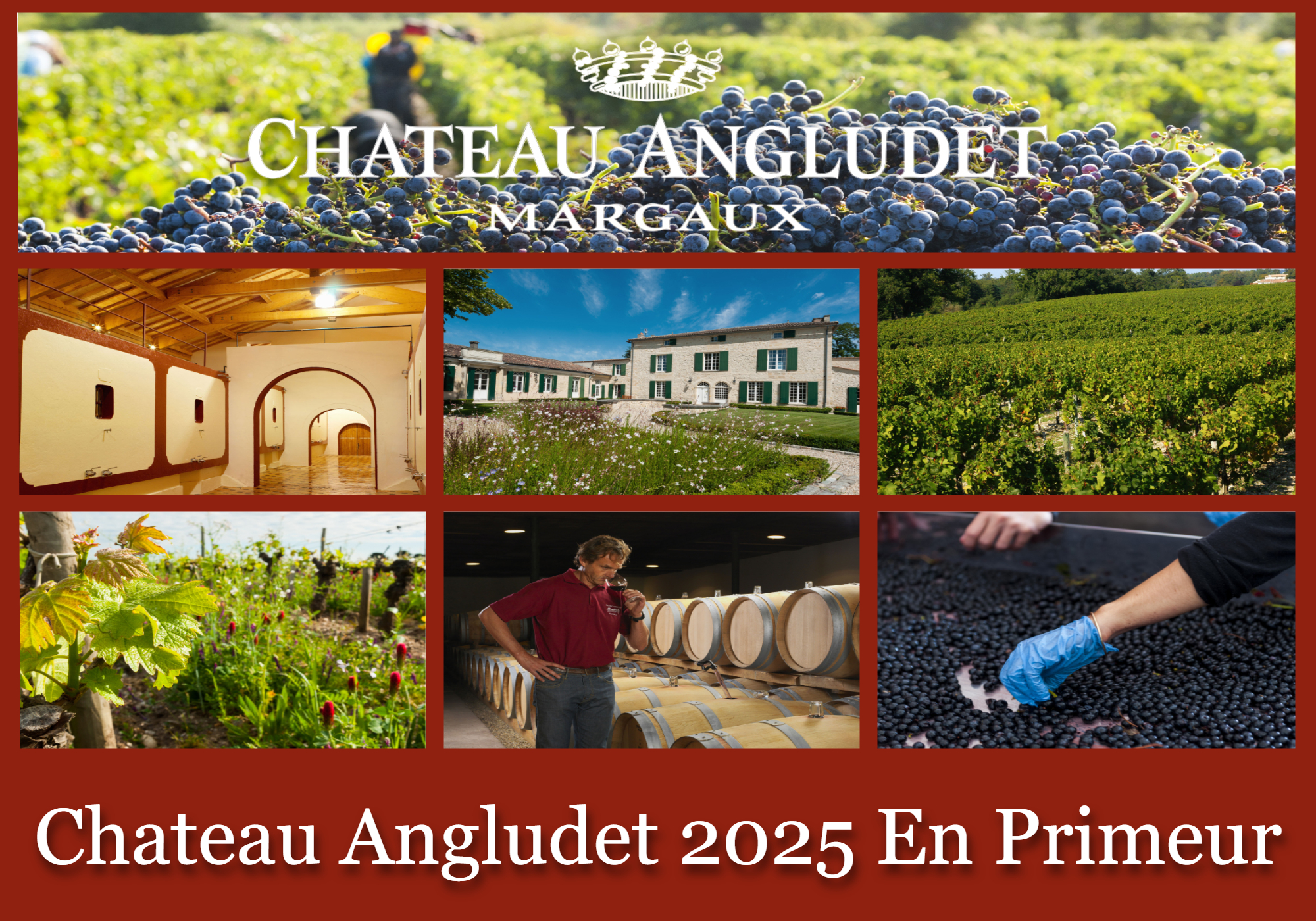 Angludet - A Customer Favourite