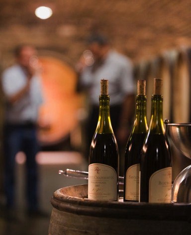 Fresh, aromatic whites - Ripe, succulent reds - Burgundy 2017 En Primeur Offer