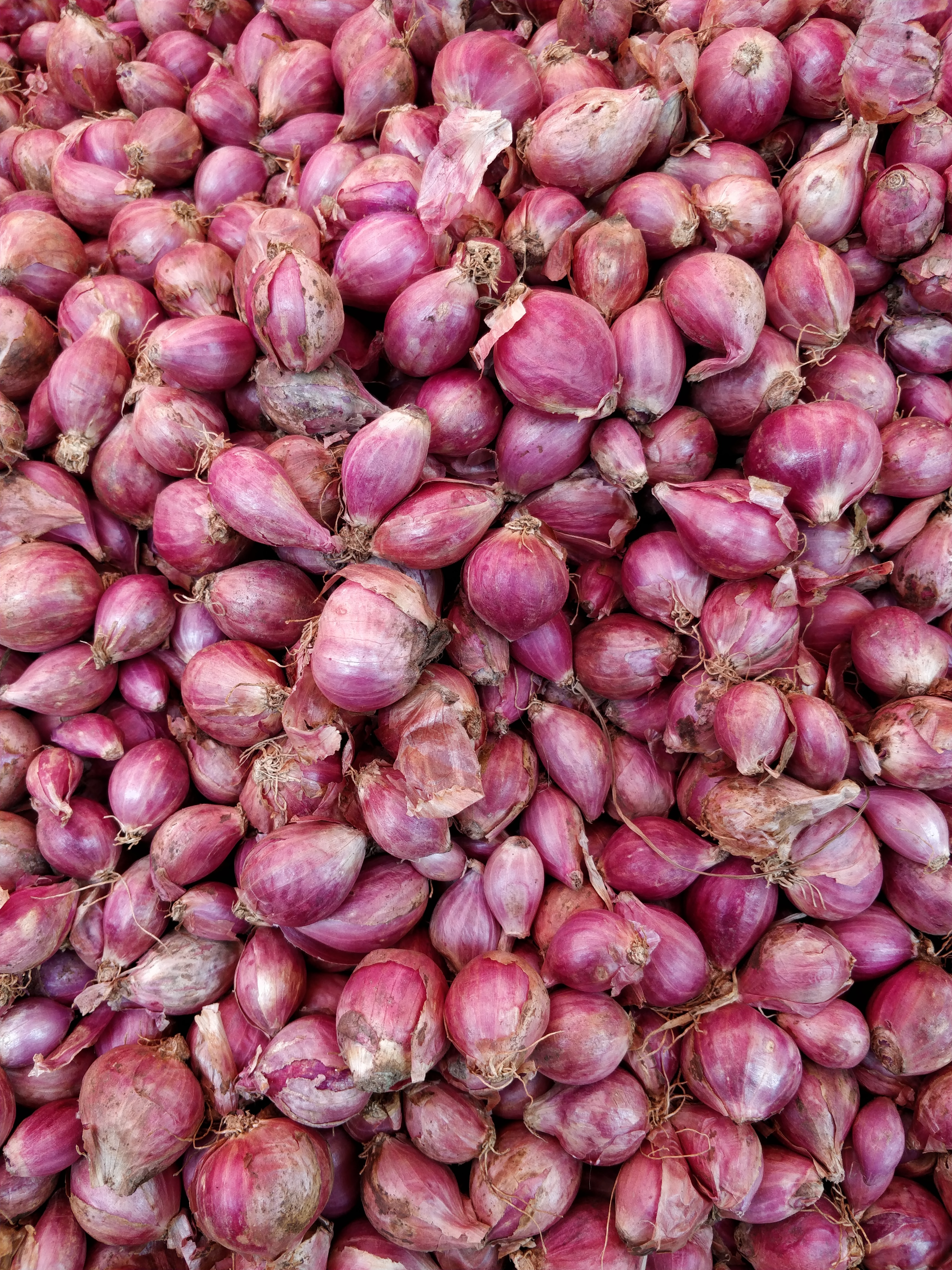 Do you know your onions? Then you're a wine expert!
