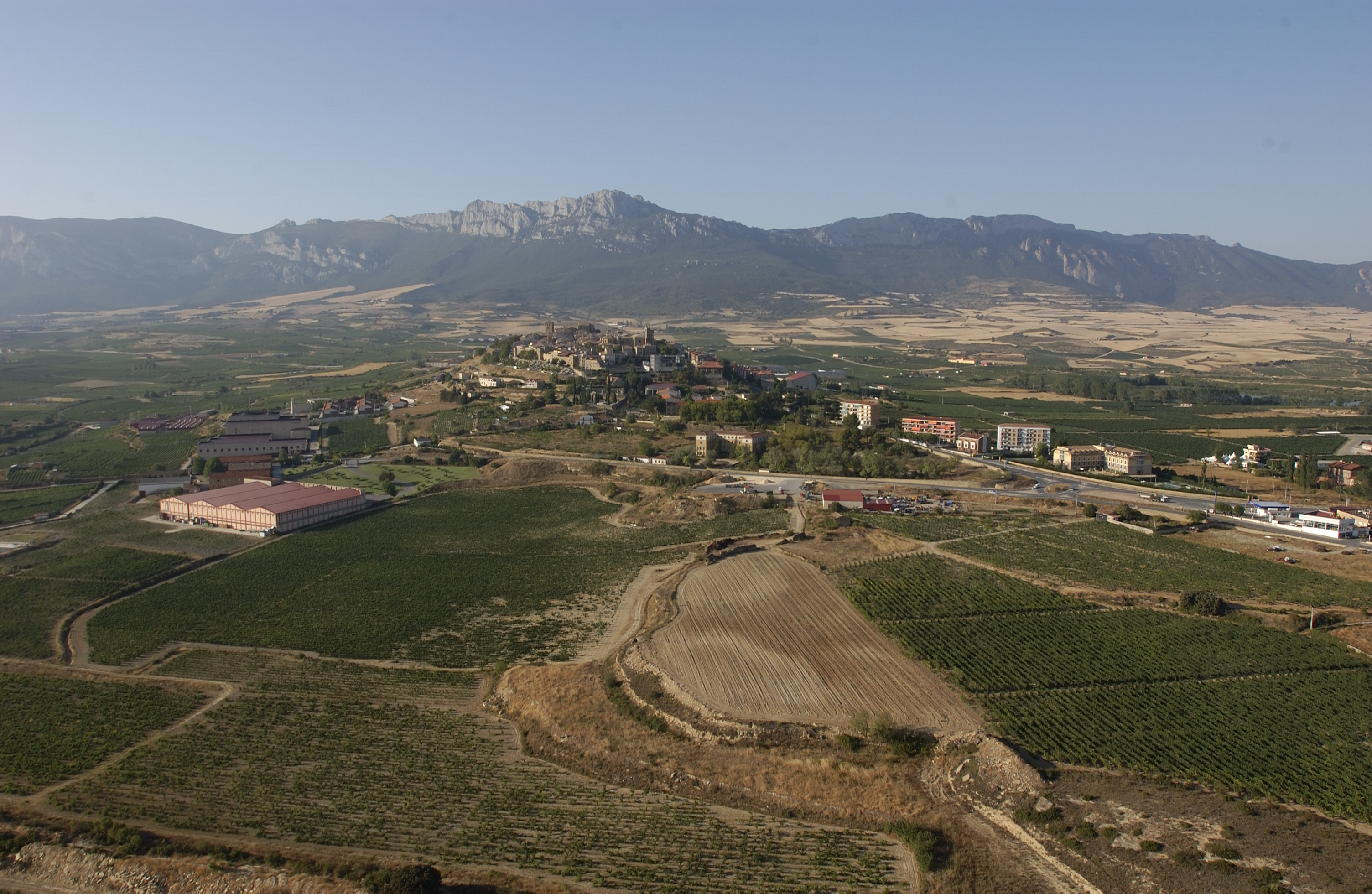 Artadi - Rioja not Rioja