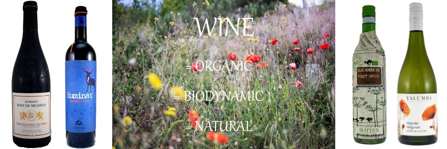 Healthy wine? - 3 questions - 3 answers you need to know!