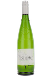 Picpoul de Pinet, Terre d'Eole, Languedoc, France, 2023