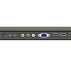 YL-156MCPT (USA Branch Exclusively !!!!!!!!)