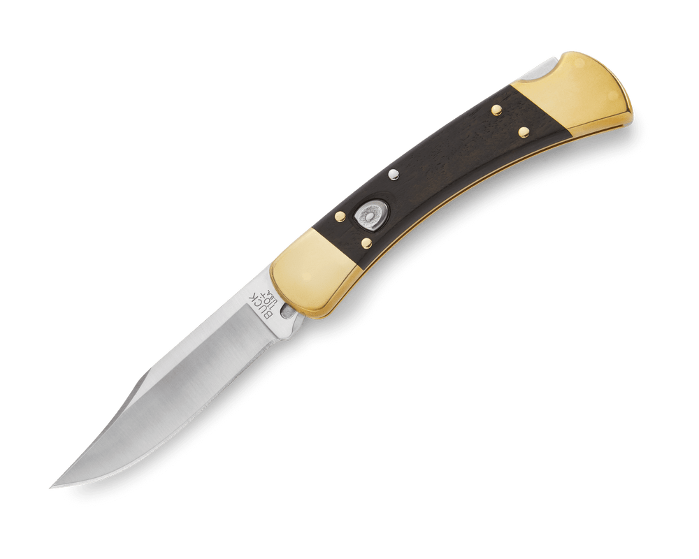 Buck 110 Folding Hunter Knife