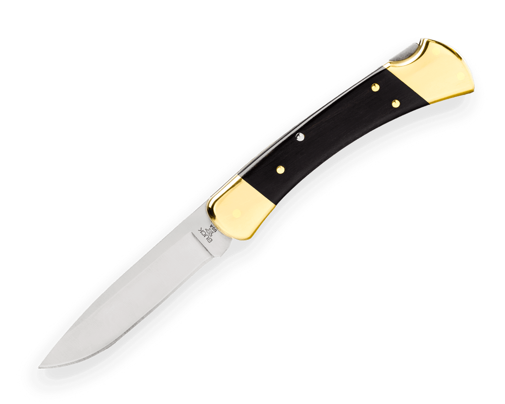 Buck 110 Folding Hunting Knife 3.75 420HC SS Clip Point Blade Wood