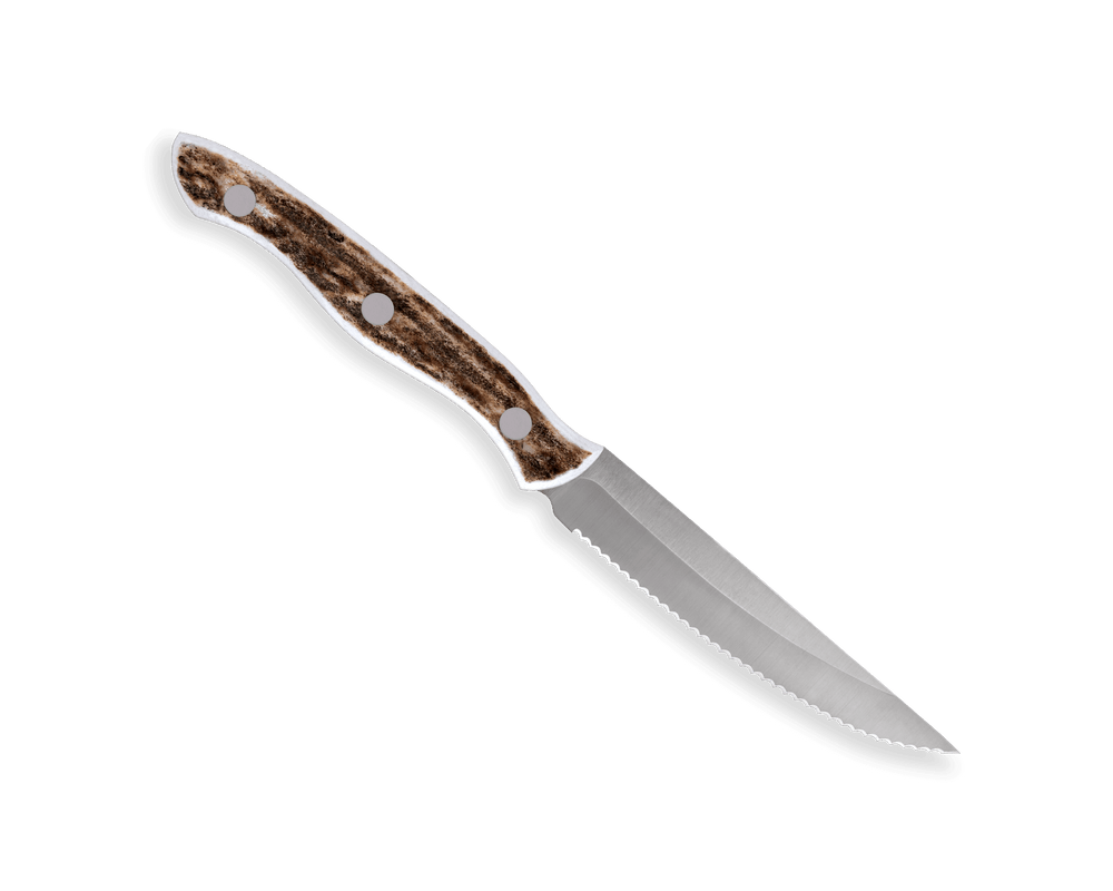 Buck Knives Steak Knife - Thumbnail 2