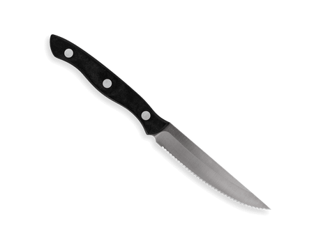 4 Piece Steak Knife Set