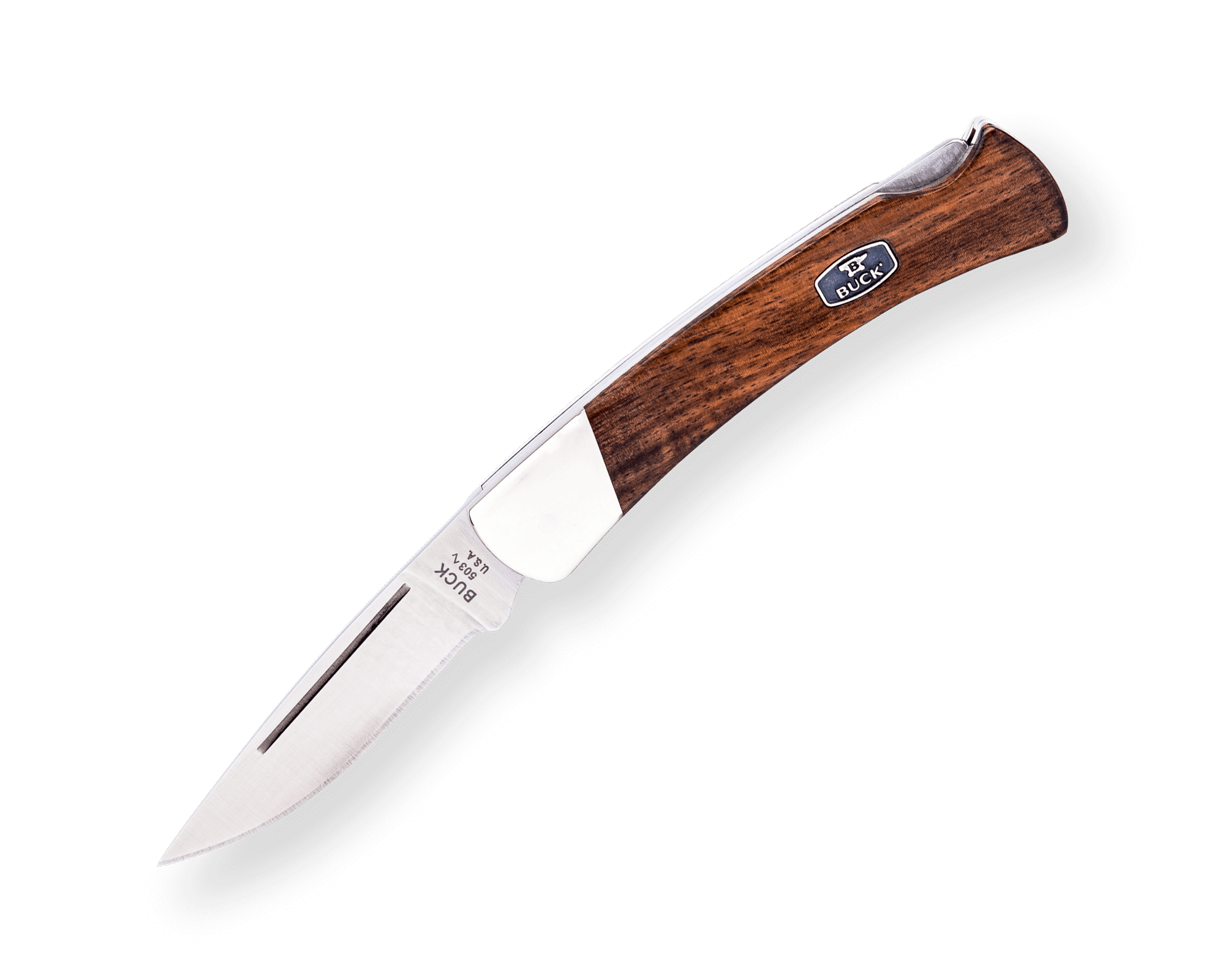 June 2024 Buck Of The Month