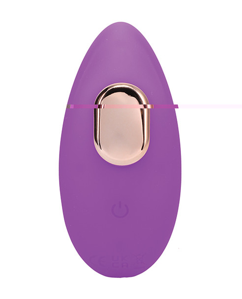 In A Bag Panty Vibe W/remote - Purple
