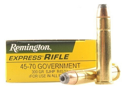 45-70 Government