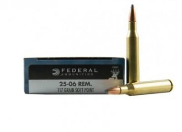 25-06 REMINGTON