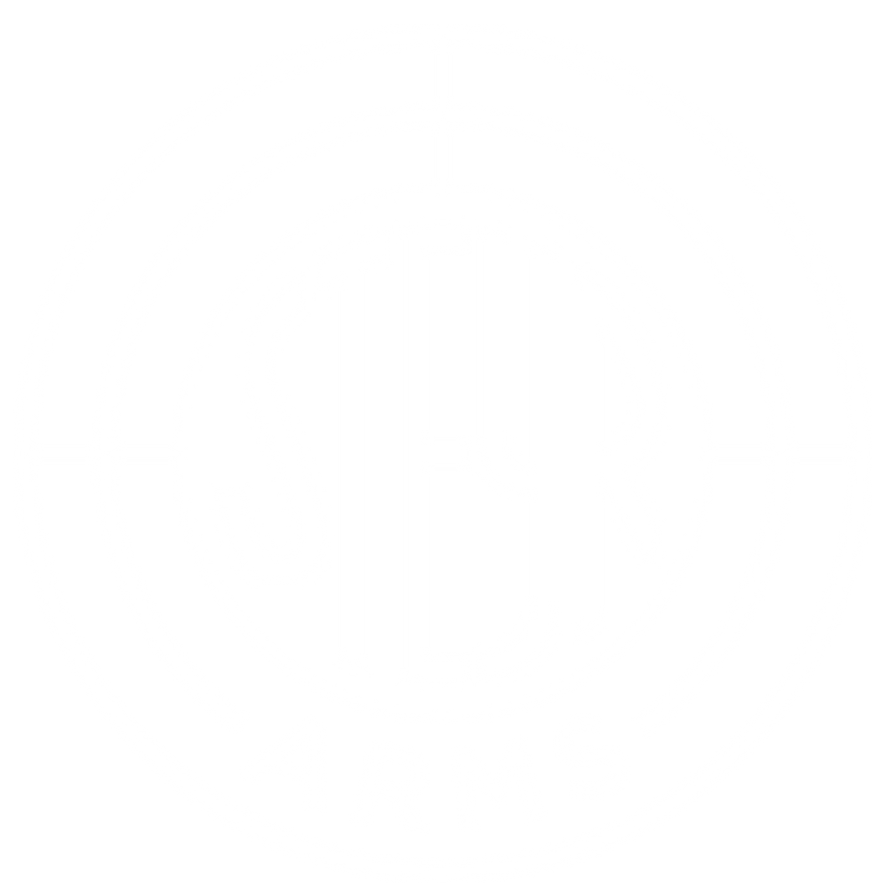 Steyr - Rifles