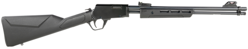 Rossi Rifle - Gallery - 22LR - Polymer - RP22181SY