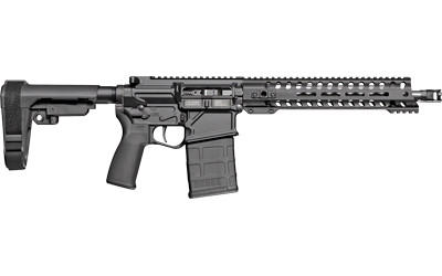 Patriot Ordnance Factory AR  - Rogue - 308 Winchester - 01665